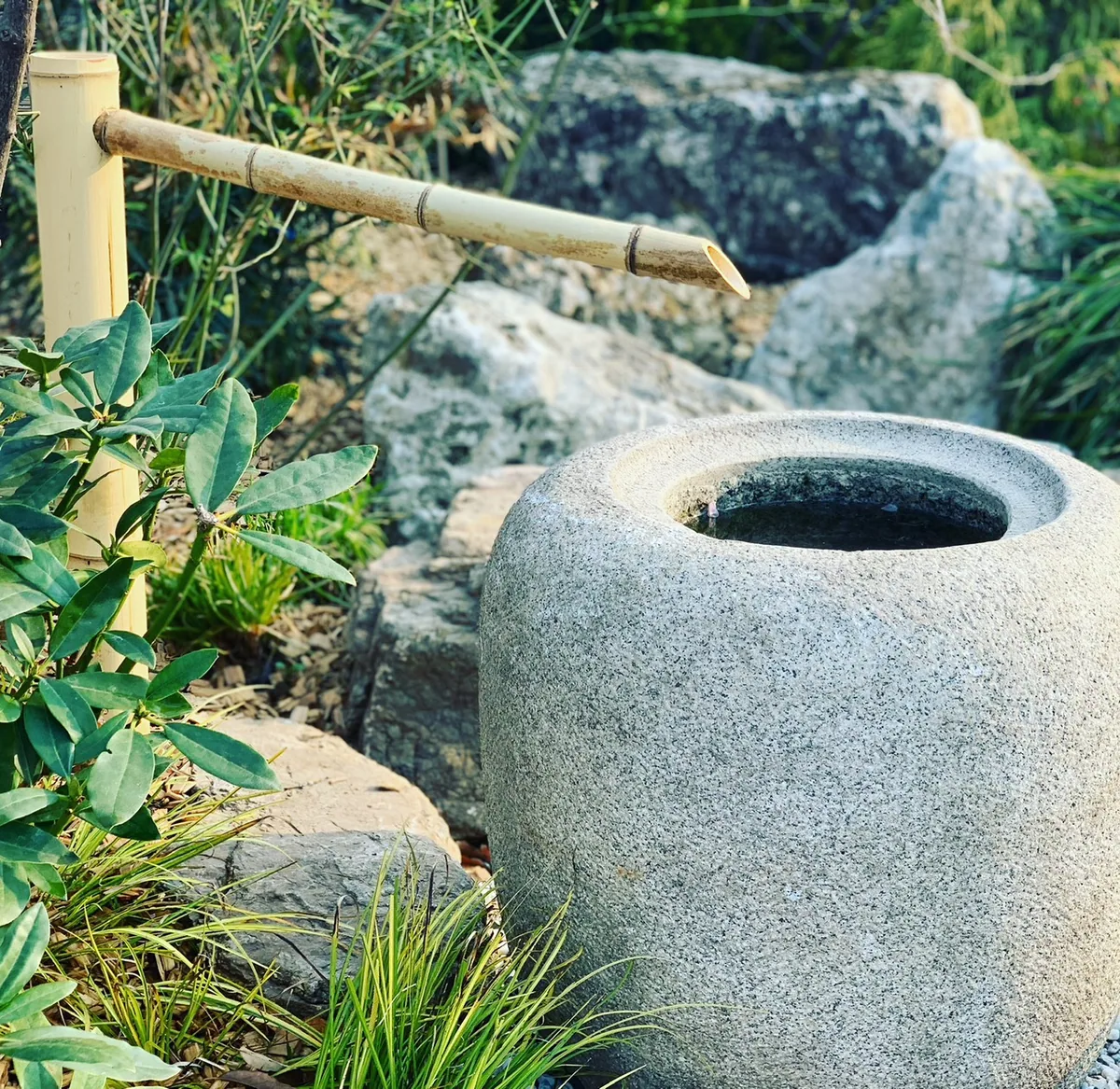 石の水鉢と竹の筧を配した庭の一角